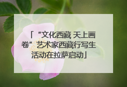 “文化西藏 天上画卷”艺术家西藏行写生活动在拉萨启动